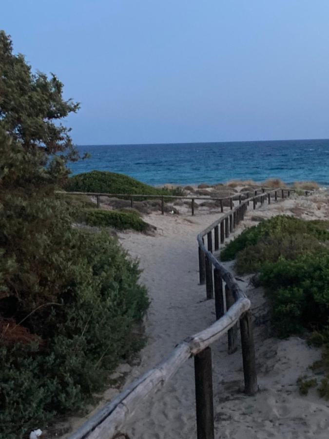 Villa Maris - Casa Vacanze A Campomarino Torre Ovo Eksteriør billede